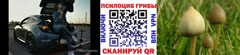 Галлюциногенные грибы MAGIC MUSHROOMS Дивногорск