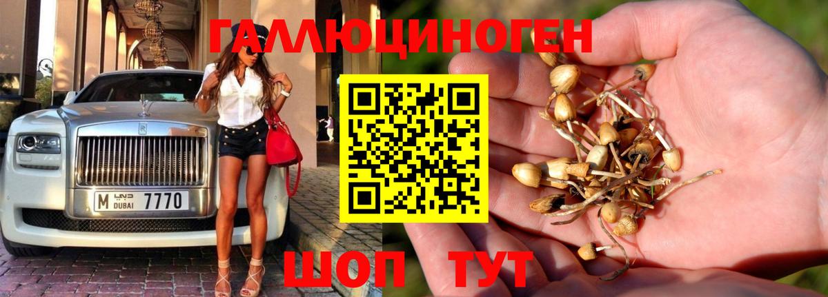 Галлюциногенные грибы мухоморы  Псилоцибиновые грибы мухоморы  Вход с VPN  Дивногорск 